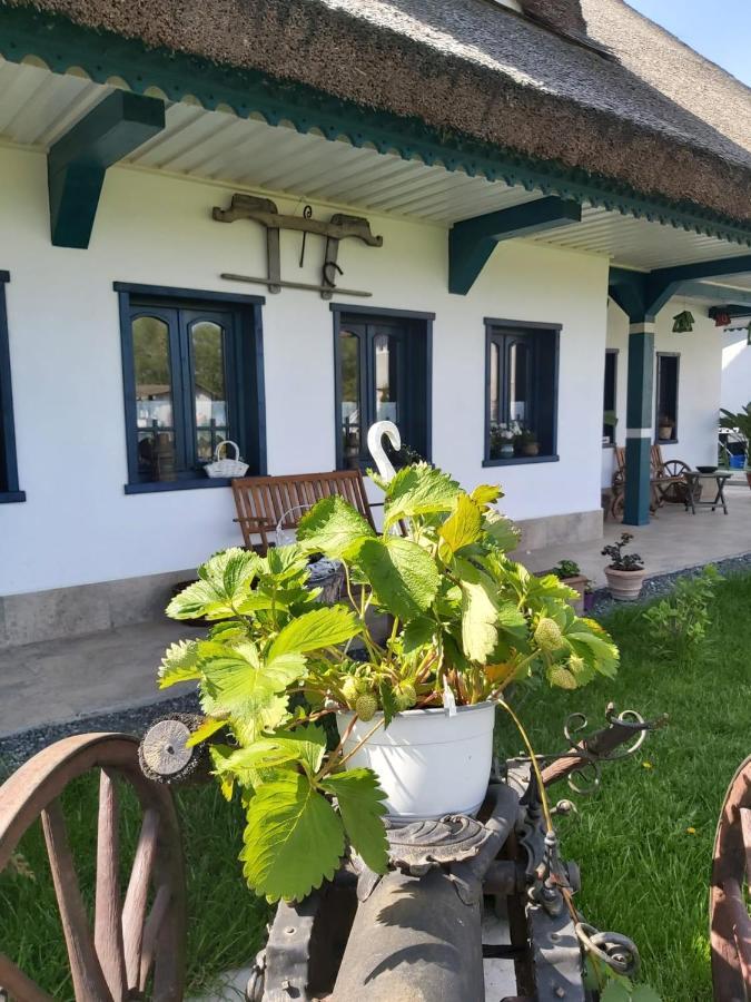 Agropensiunea Beluga Gorgova Экстерьер фото