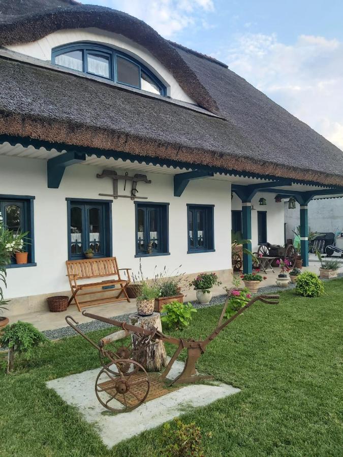 Agropensiunea Beluga Gorgova Экстерьер фото