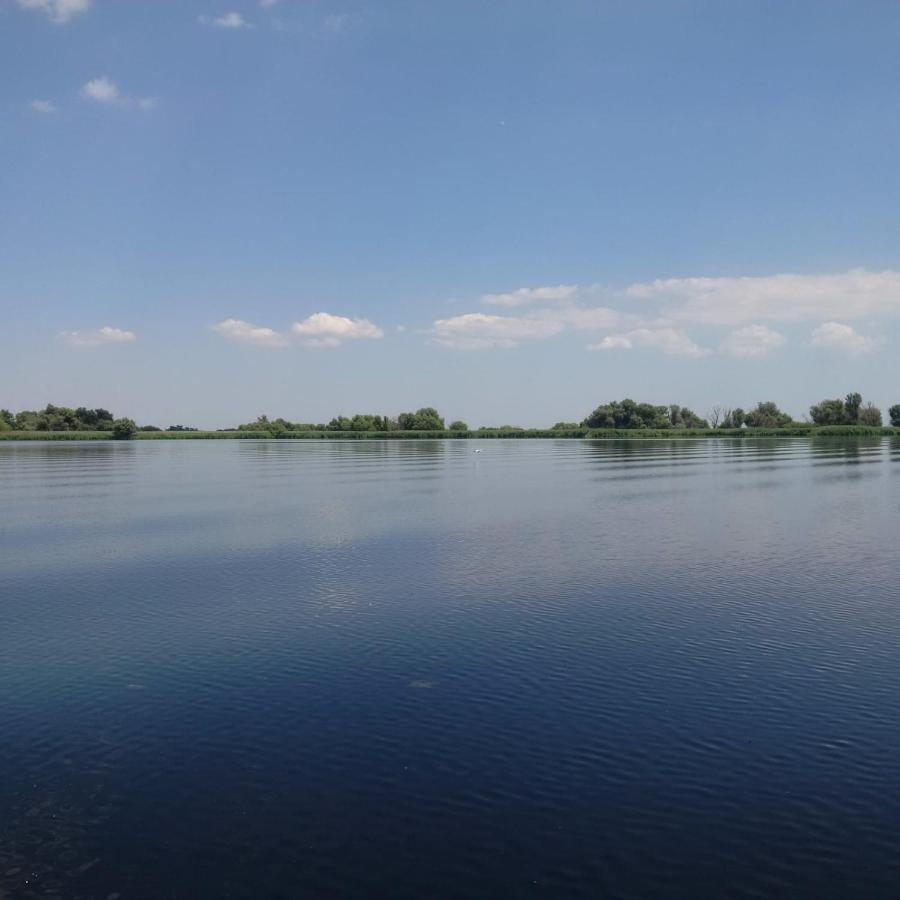 Agropensiunea Beluga Gorgova Экстерьер фото