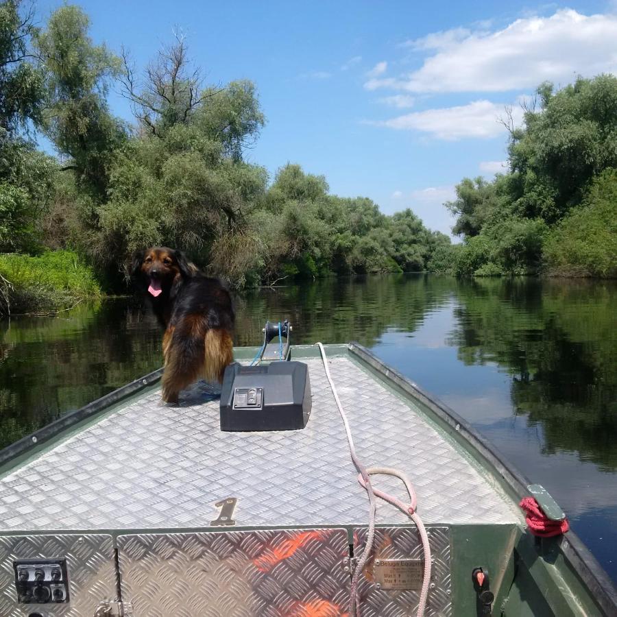 Agropensiunea Beluga Gorgova Экстерьер фото