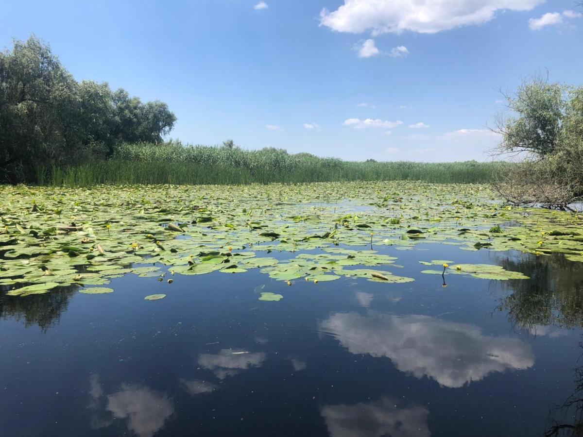 Agropensiunea Beluga Gorgova Экстерьер фото