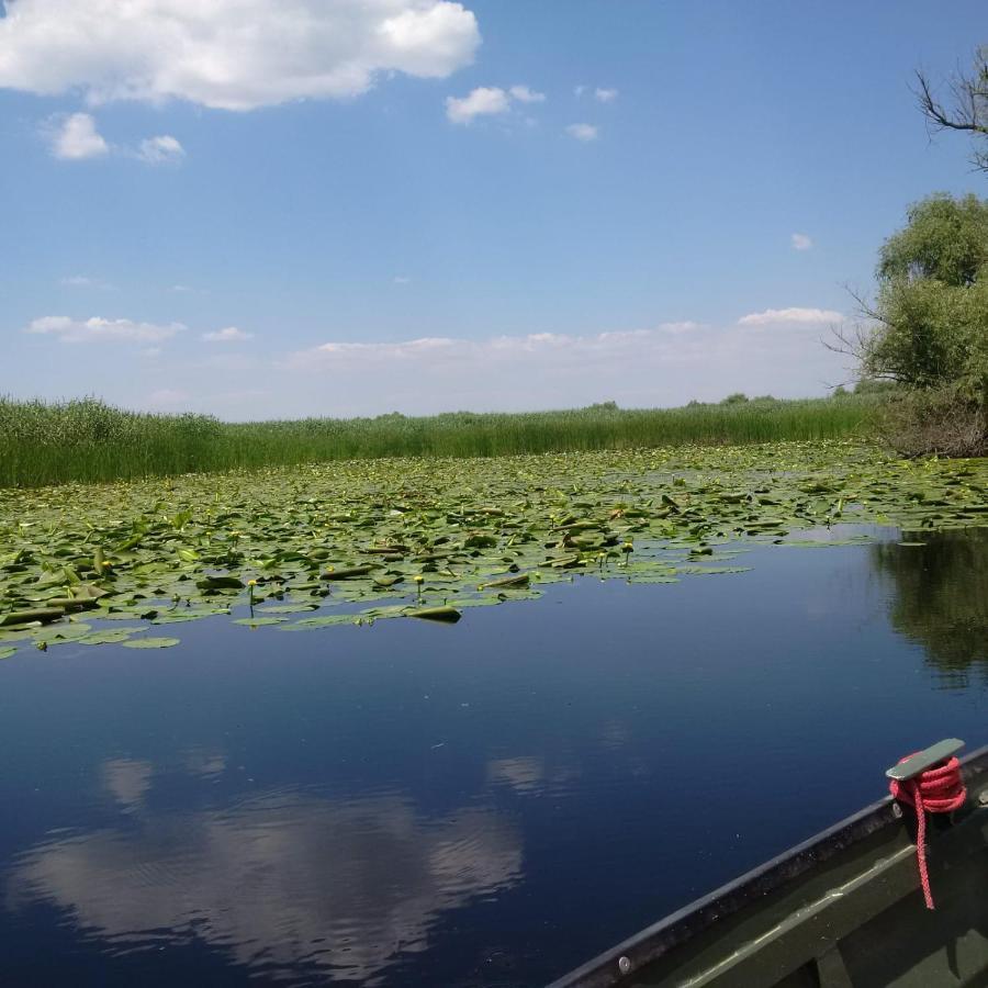 Agropensiunea Beluga Gorgova Экстерьер фото