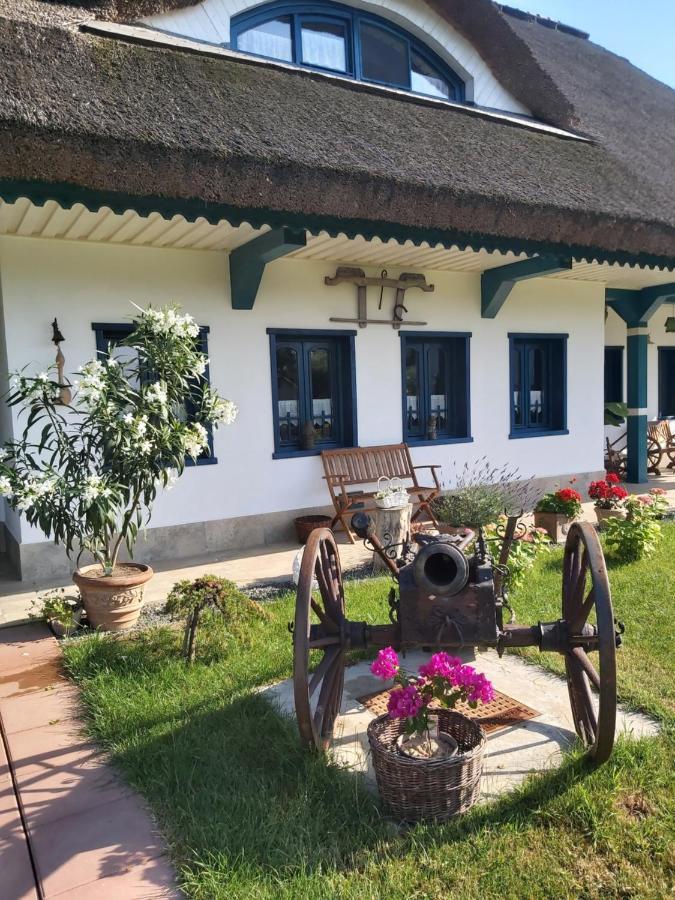 Agropensiunea Beluga Gorgova Экстерьер фото