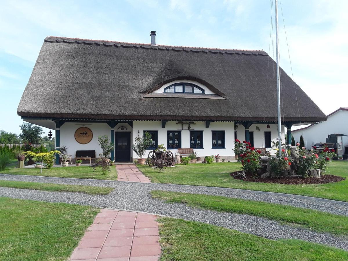 Agropensiunea Beluga Gorgova Экстерьер фото